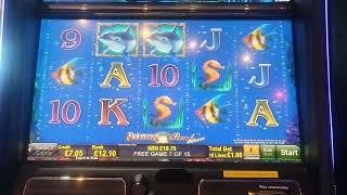 dolphins pearl £1 casino bonus