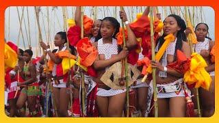 Zulu Dance #proudlysouthafrican #culture #dance #culturalfashion #africa