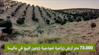 noiz Group.. قطعة أرضي زراعية نموذجية على مساحة (73 ألف متر) نموذجية