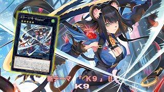 Justice Hunters ! K9 DECK Testing New Theme - YGOPRO