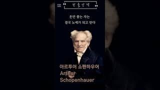 돈과 자유. 쇼펜하우어