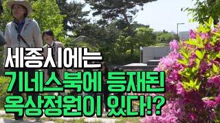 세종시에는 기네스북에 등재된 옥상정원이 있다!?
