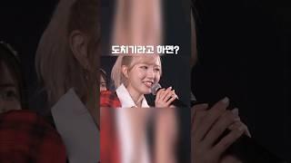 혼다히토미 마지막 AKB48 캐치프레이즈 "도치기라고 하면??" #혼다히토미 #本田仁美 #아이즈원 #akb48