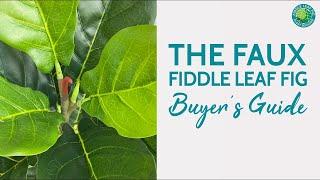 How to Buy The Best Faux Fiddle Leaf Fig For Your Home | Fiddle Leaf Fig Plant Resource Center