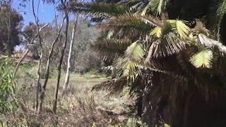 Walking Batiquitos Lagoon Trail