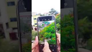 Realme 8 5G Camera Zoom Test #shorts