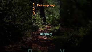 Смогли ответить на все вопросы? Не забудьте подписаться и поставить лайк под видео #то
