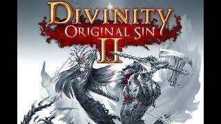 Divinity: Original Sin 2 Definitive Edition: Episode 79 - Journey To Nameless Isle