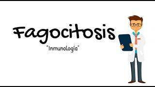Fagocitosis [Inmunología #6]
