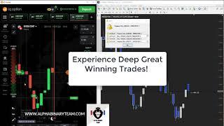 Predator X Indicator Real IQ Option Tradings Best Reversal Indicator