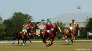 EQUESTRIAN PROPERTY. ATLANTIC CROSSING VERO BEACH. TREASURE COAST SOTHEBY'S