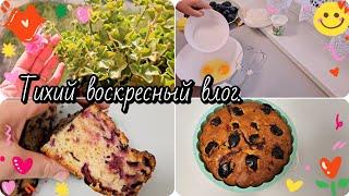 Ну чем можно заняться в воскресенье....?,конечно вкуснятиной.