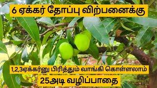 6ஏக்கர் மாந்தோப்பு விற்பனைக்கு...