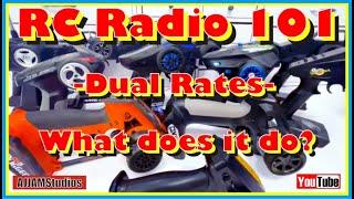 RC Radio 101  -Dual Rates-