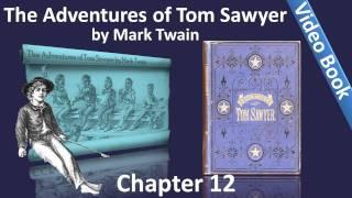 Chapter 12 - The Adventures of Tom Sawyer by Mark Twain - The Cat And The Pain-killer