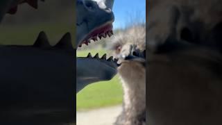Magnus The Shark Puppet attacked by a wild Emu at the Zoo #shark #sharks #emus #zoo #sharkpuppet