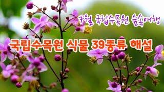 수목원 산책 3부 - 7월 포천 국립수목원 식물 39종류 해설