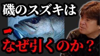 ￼シーバスの引きの違いについて【村岡昌憲】