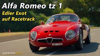 Alfa Romeo tz 1 - Noble exotic on racetrack I Garagengold