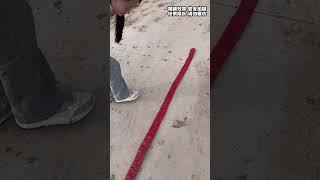 Bought a fake firecracker