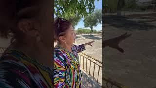 Раскопки караван-сарая в Бухаре, бывший парк Фрунзе