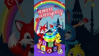 RENKLERİ GÖKKUŞAĞI DOSTLARIYLA KEŞFET!  | Rainbow Kids Türkçe