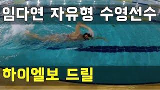 SHC 수영 강좌_임다연 코치님 자유형 하이엘보 드릴
