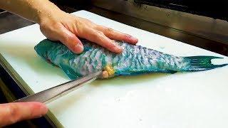 Blue Toxic! Parrot Fish Sashimi - Japanese Street Food in Okinawa