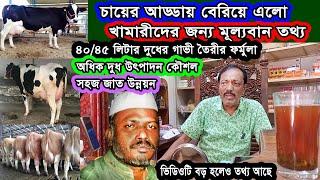 ৪০/৪৫ লিটার দুধের গাভী তৈরীর ফর্মূলা | zaker dairy | Agriculture news | bayezid moral
