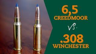 Expertengespräch: Kaliber 6,5 Creedmoor – besser als .308 Win.? Taugt die 6,5 CM auf Schwarzwild?