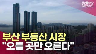 오를 곳만 오르는 부산 부동산 시장…"양극화 심화"ㅣ#헬로tv뉴스