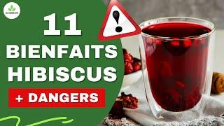 HIBISCUS : 11 BIENFAITS ET DANGERS POUR LA SANTÉ (C'EST IMPRESSIONNANT )