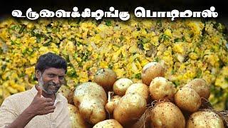 உருளைக்கிழங்கு பொடிமாஸ் செய்வது எப்படி...? | Potato Podimas Simple & Healthy Recipe 