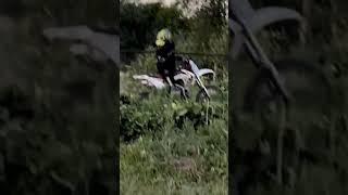 Бернаут на питбайке ️️ #мопед