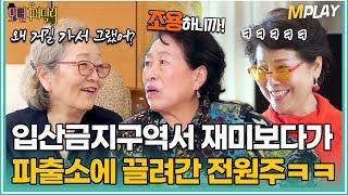 "많이 급하셨나 봐요" 입산금지 구역에서 재미보다가 파출소에 끌려간 전원주ㅋㅋ [#모던패밀리] | MBN 20200327 방송