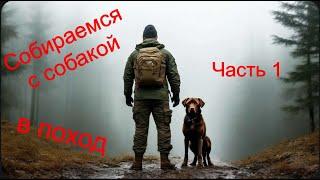 В поход с собакой ч 1