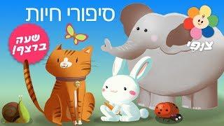 צופי חיות  | צופי וחברים | ספיישל שעה ברצף | מילים ראשונות לתינוקות