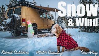 Winter Camping - High Winds and Snow