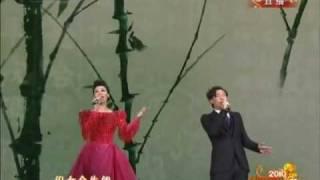 2010虎年央视春节晚会 谭晶 陈奕迅-龙文.flv