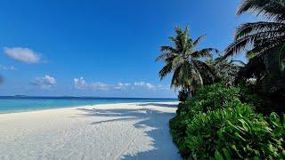 Milaidhoo Resort & Beachfront Villas with Private Pools – Maldives