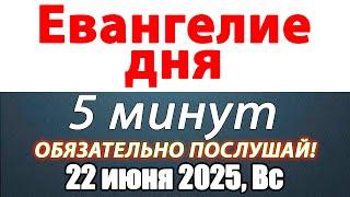 Евангелие дня с толкованием 22 июня 2025 года Воскресенье Чтимые святые. Церковный календарь