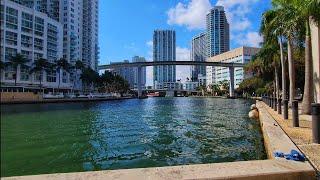 4K WaterFront Downtown Miami , Winter Cycling Virtual Travel Tour , Miami FL , February 2025