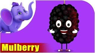 Mulberry - Fruit Rhyme in Ultra HD (4K)