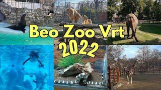 Beogradski Zoo Vrt 2022