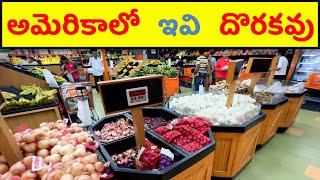 నేను ఆశ్చర్య పోయా  America Telugu Vlogs  Texas State Travel  Cities To Visit in USA