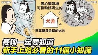 養狗一定要知道　新手上路必看的11個小知識｜三立新聞網 SETN.com