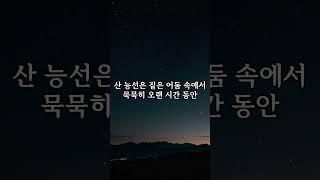 별빛아래 고요한 밤