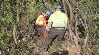 LA River Gets Facelift Through City of Bell