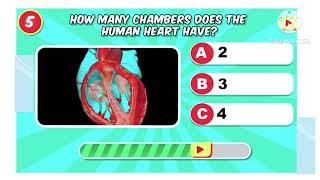 Human Body Quiz // how much do you know about your body