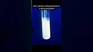Chemical test of carbon dioxide gas #explore #experiment #shorts #science #ytshorts